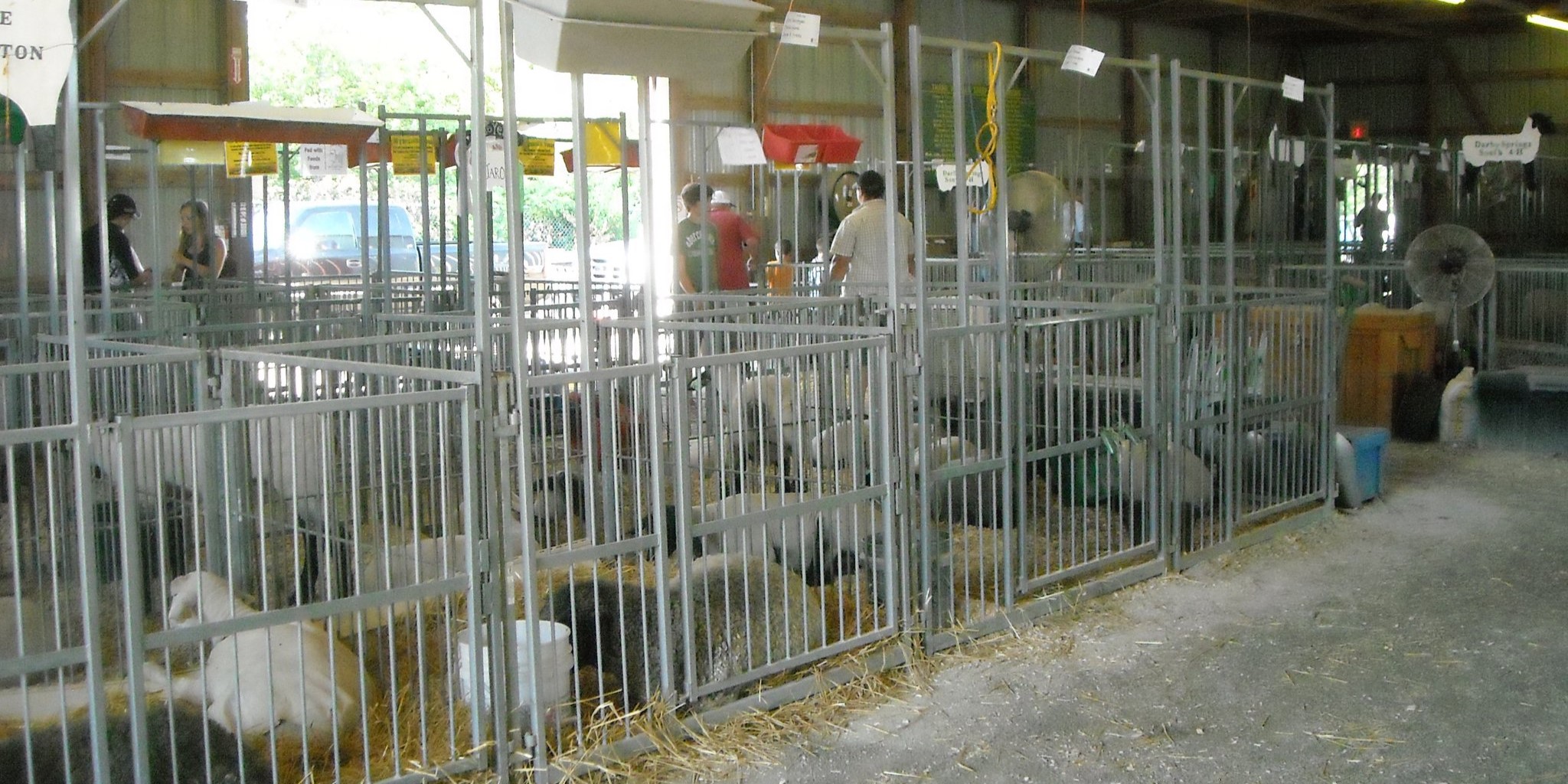 Agriculture Project 11